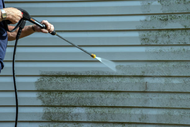 Best Pool Deck Cleaning  in Frent Hills, MO